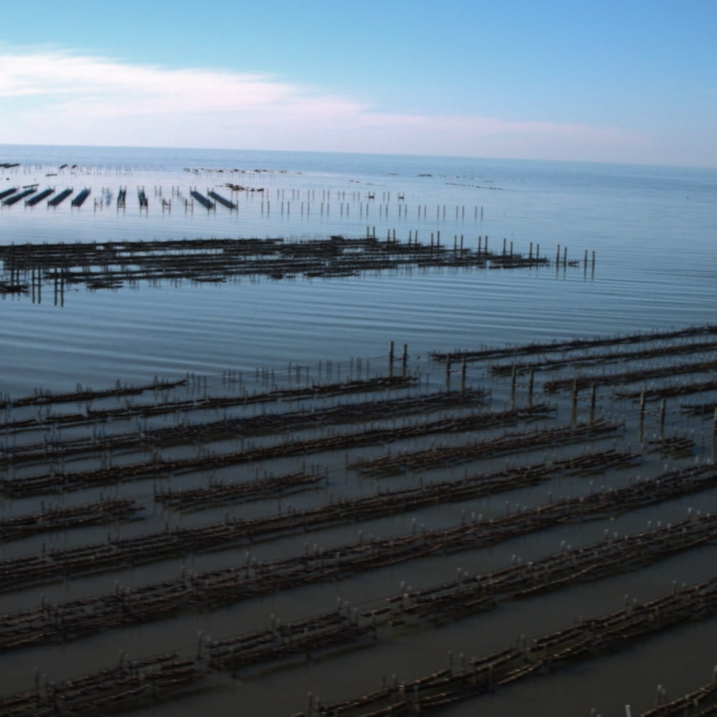 Murder Point Oyster Farm