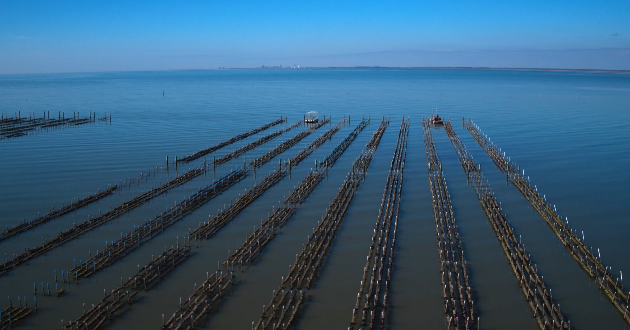 Oyster Farm at Murder Point Alabama