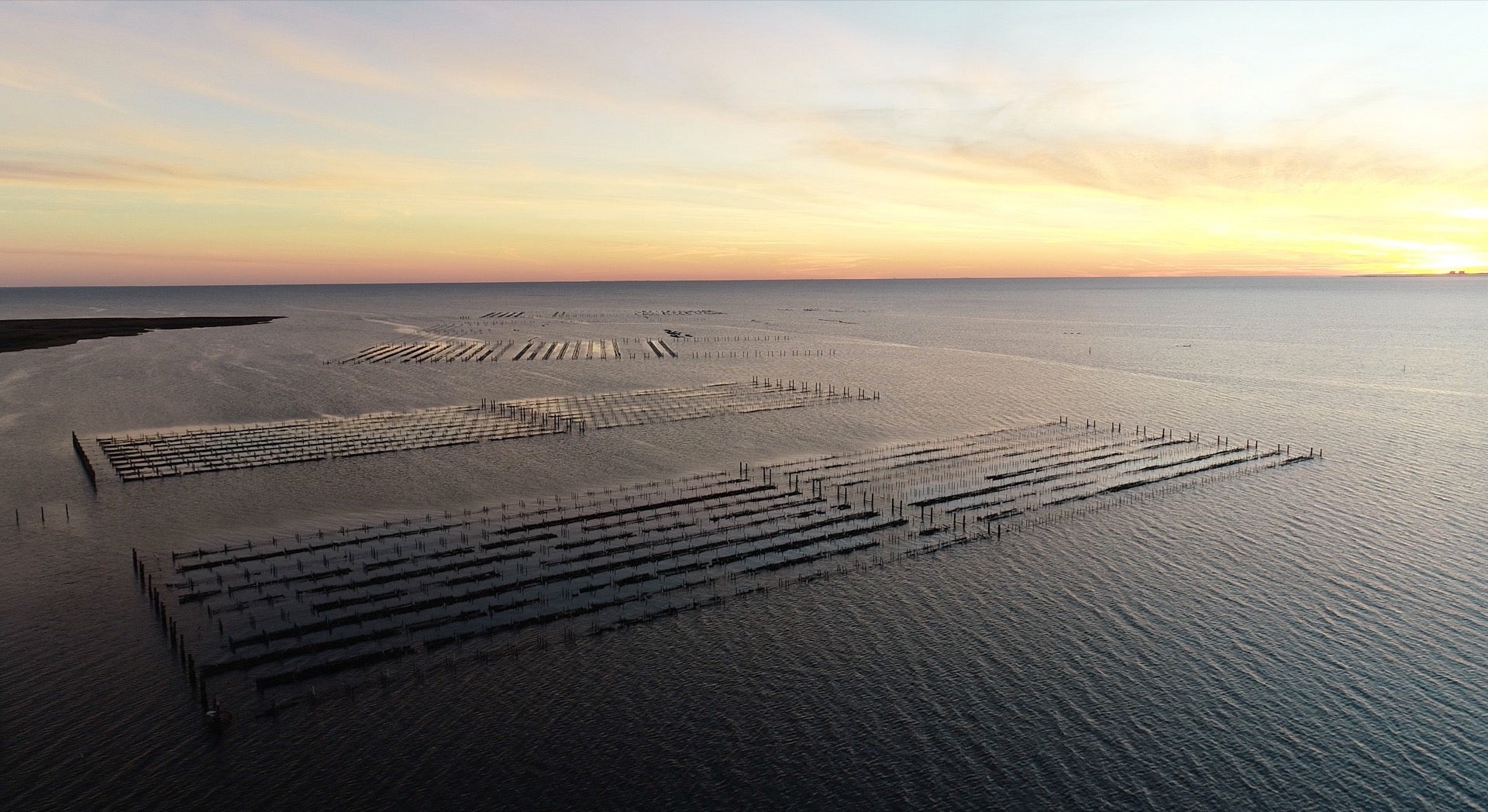 Murder Point Oyster Farm at Sunset