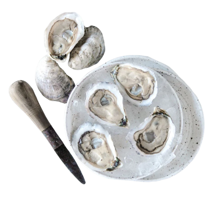 Murder Point Oysters on Ice