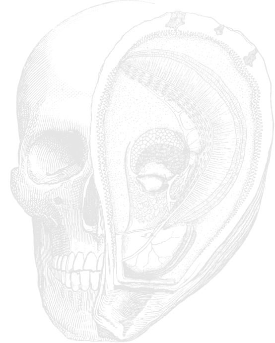 Murder Point Oysters Skull Graphic