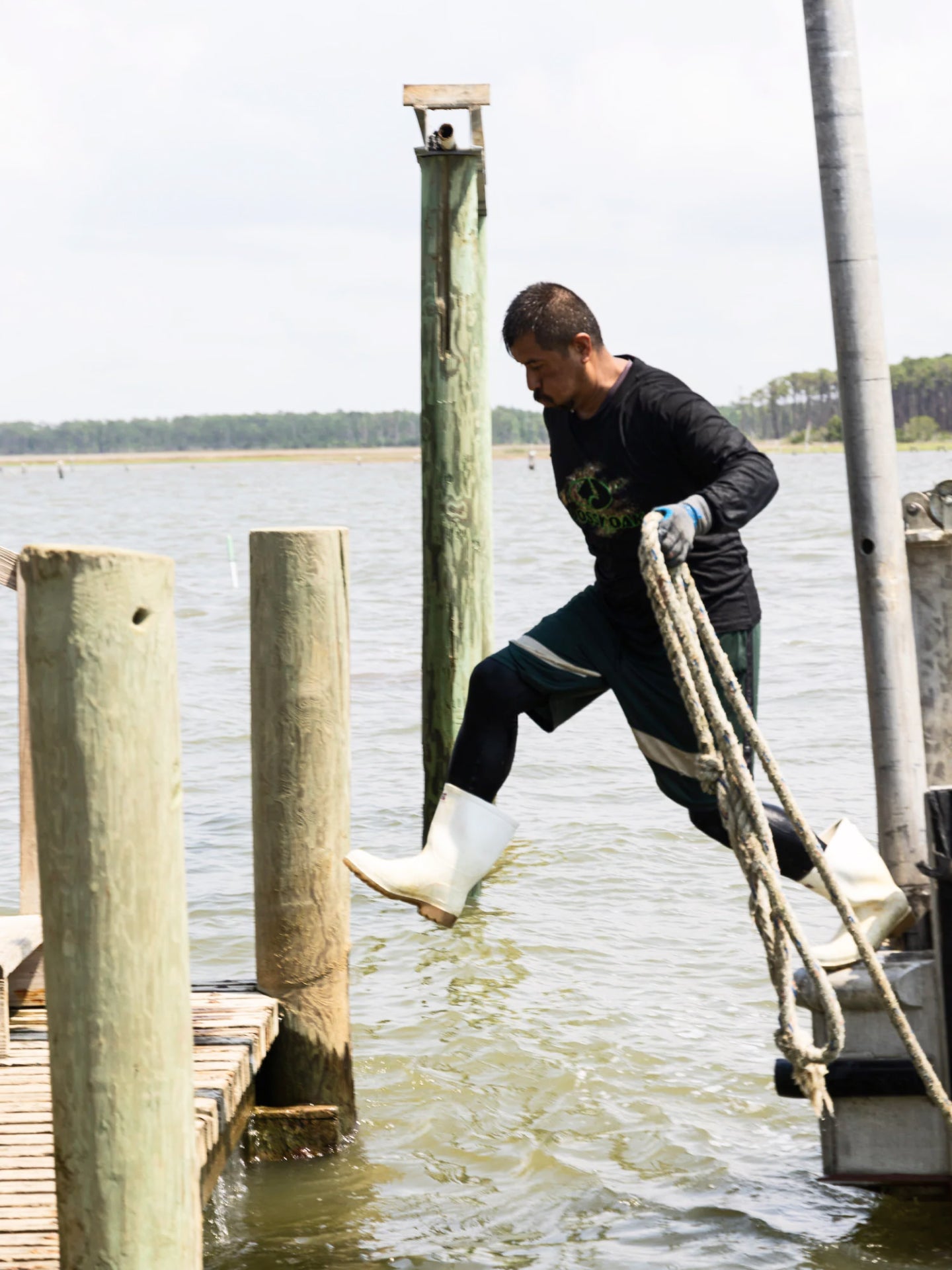 Oysterman in Action