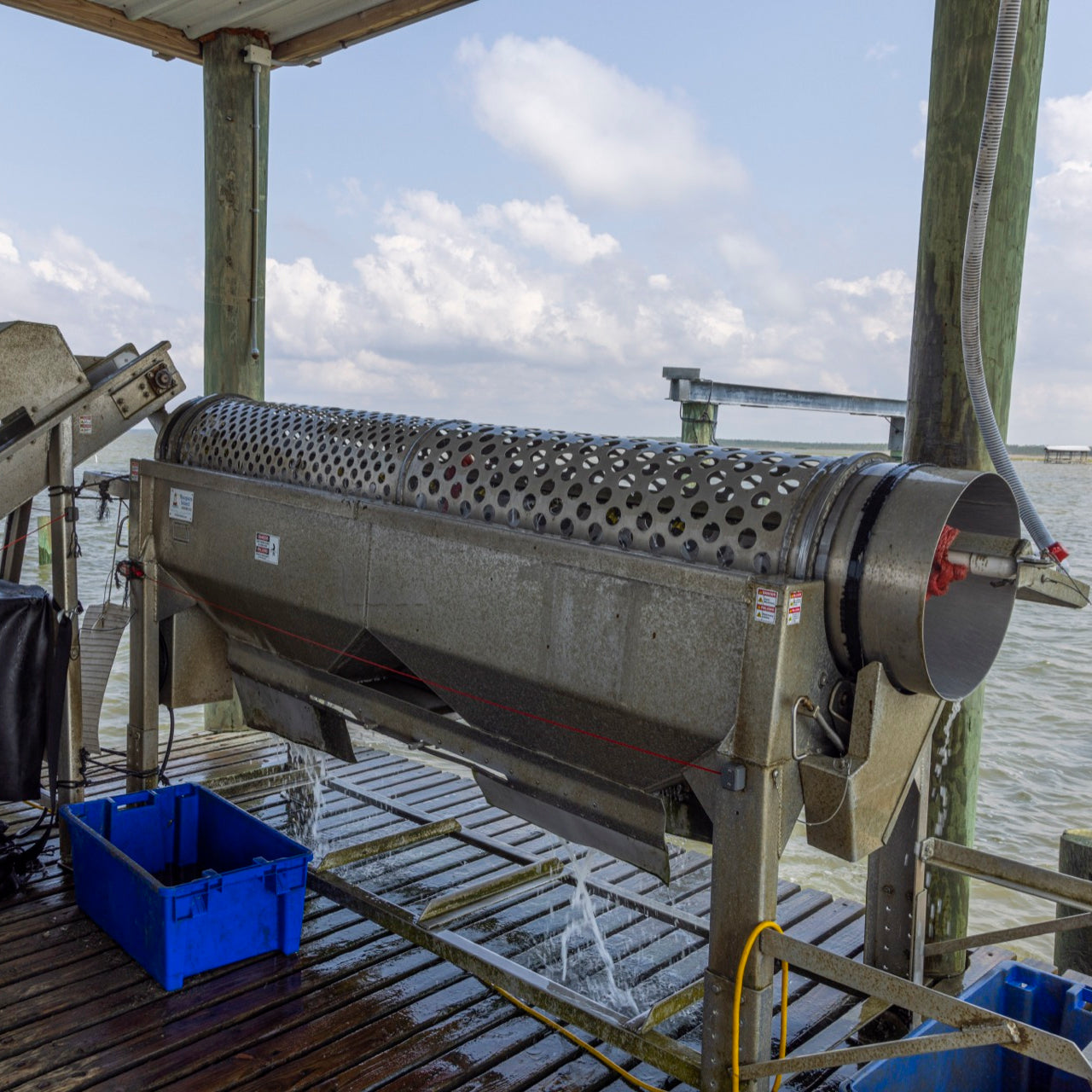 Oyster Tumbler