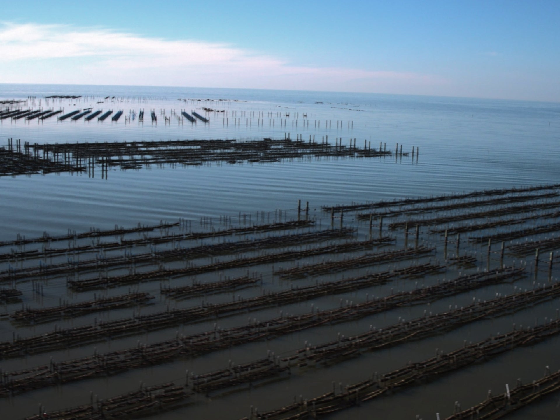 Murder Point Oyster Farm